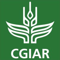 Company brand